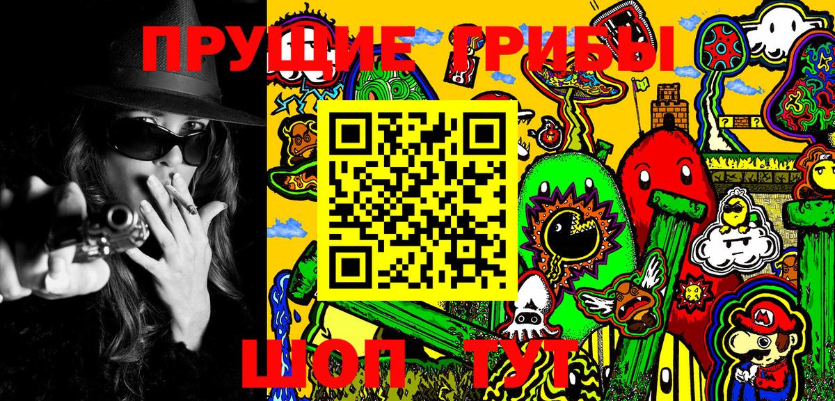 где купить   Вход с VPN  Отрадное  Псилоцибиновые грибы Psilocybine cubensis 