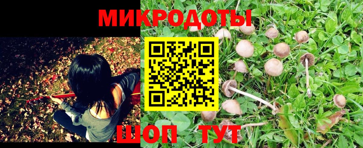 Галлюциногенные грибы мухоморы Отрадное