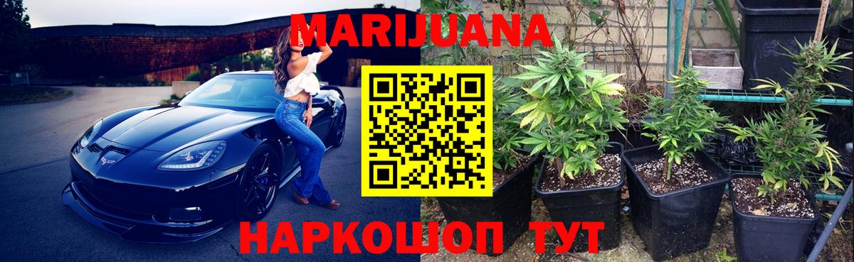 Канабис план Отрадное