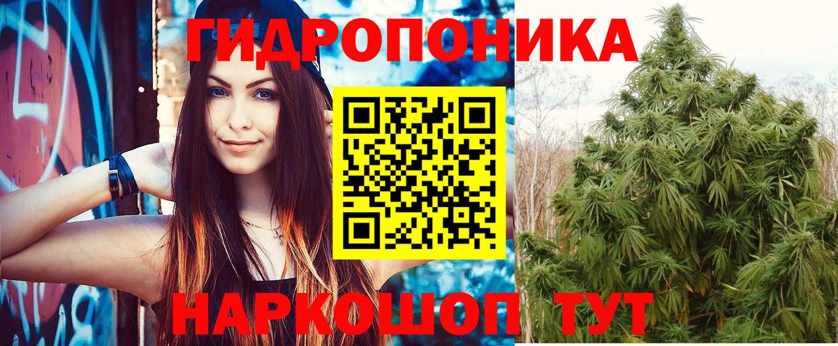 Отрадное  Конопля план  Бошки Шишки гибрид  Бошки марихуана THC 21%  Вход с VPN 